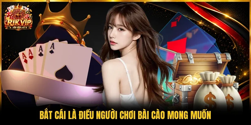 Bắt cái là điều người chơi bài Cào mong muốn