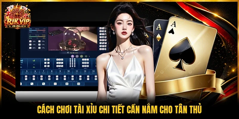 Cách chơi Tài xỉu chi tiết cần nắm cho tân thủ 