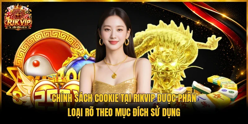 Chính sách Cookie tại Rikvip được phân loại rõ theo mục đích sử dụng 