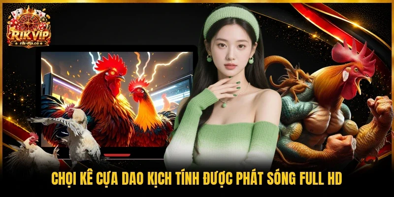 Chọi kê cựa dao kịch tính được phát sóng full HD