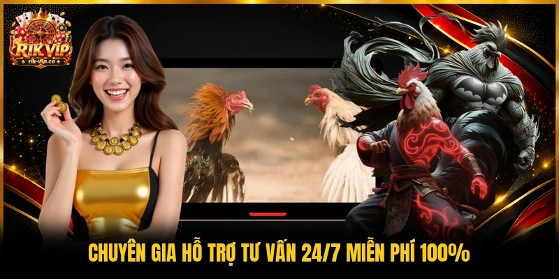 Chuyên gia hỗ trợ tư vấn 24/7 miễn phí 100%