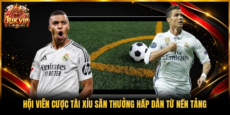 Hội viên cược tài xỉu săn thưởng hấp dẫn từ nền tảng