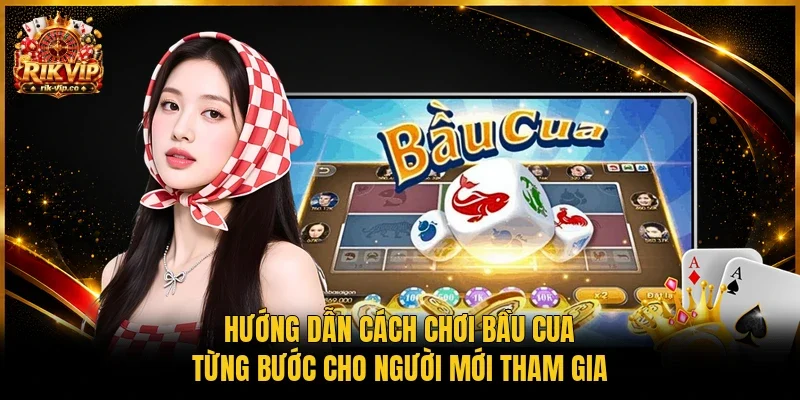 Hướng dẫn cách chơi bầu cua từng bước cho người mới tham gia 