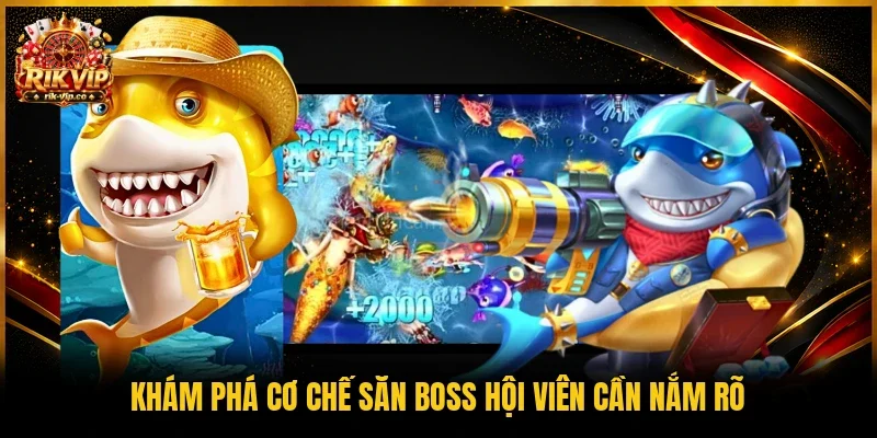 Khám phá cơ chế săn boss hội viên cần nắm rõ