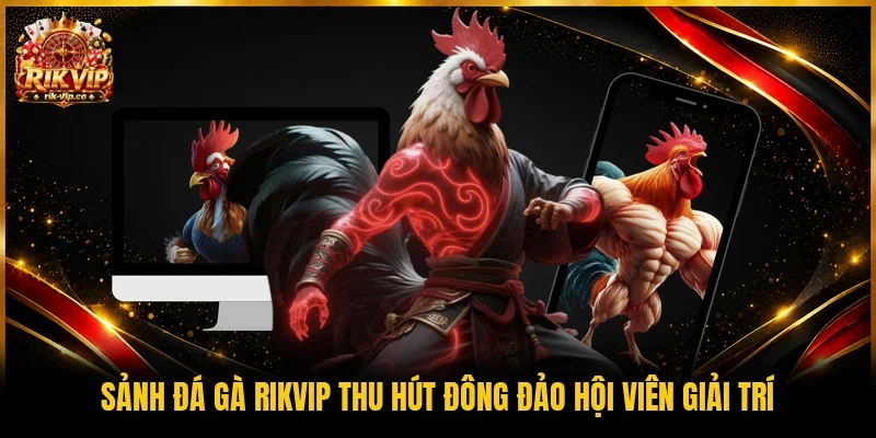 Sảnh đá gà Rikvip thu hút đông đảo hội viên giải trí