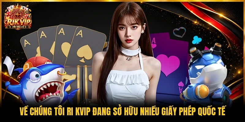 Về chúng tôi Ri kvip đang sở hữu nhiều giấy phép quốc tế
